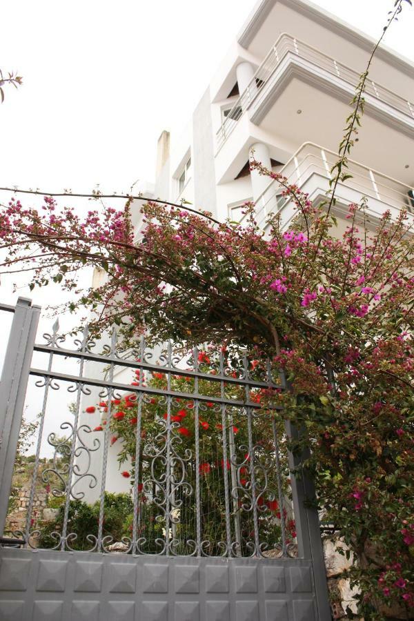 Alexandra'S Apartments Sarandë Exterior foto